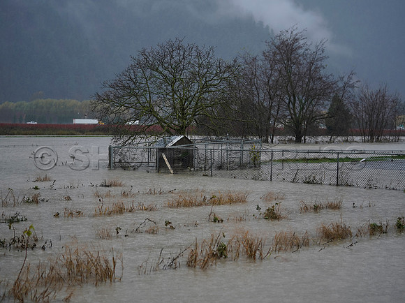 Sumas Prairie, Abbotsford still largely under water Thursday Nov 25, 2021