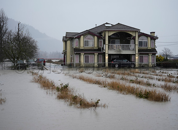 Sumas Prairie, Abbotsford still largely under water Thursday Nov 25, 2021
