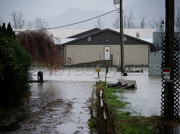 Sumas Prairie, Abbotsford still largely under water Thursday Nov 25, 2021