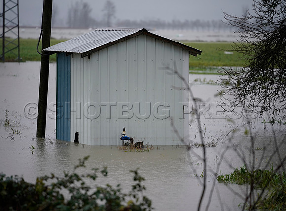 Sumas Prairie, Abbotsford still largely under water Thursday Nov 25, 2021