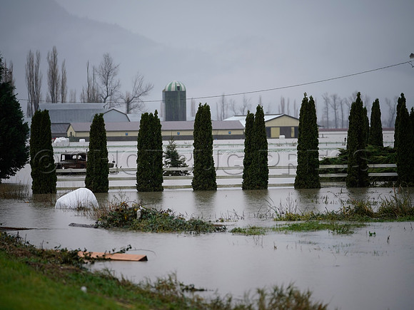 Sumas Prairie, Abbotsford still largely under water Thursday Nov 25, 2021