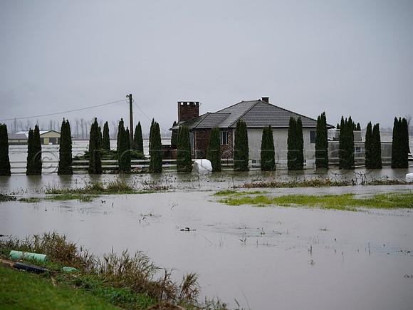 Sumas Prairie, Abbotsford still largely under water Thursday Nov 25, 2021