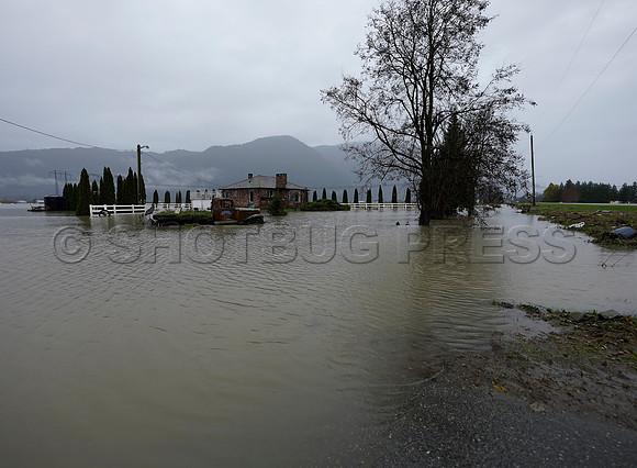 Sumas Prairie, Abbotsford still largely under water Thursday Nov 25, 2021