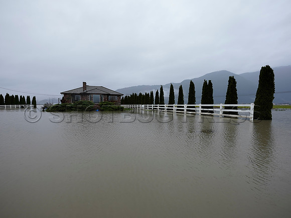 Sumas Prairie, Abbotsford still largely under water Thursday Nov 25, 2021