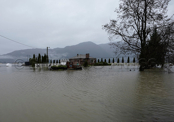 Sumas Prairie, Abbotsford still largely under water Thursday Nov 25, 2021