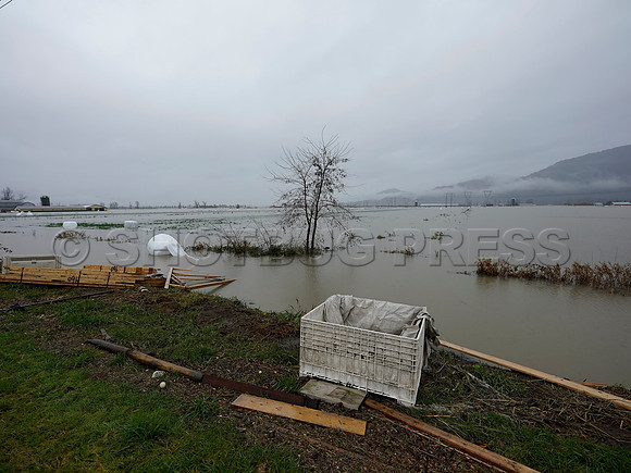 Sumas Prairie, Abbotsford still largely under water Thursday Nov 25, 2021