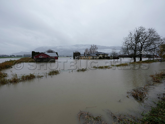 Sumas Prairie, Abbotsford still largely under water Thursday Nov 25, 2021