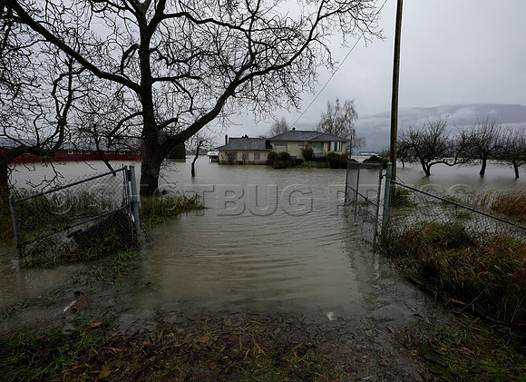 Sumas Prairie, Abbotsford still largely under water Thursday Nov 25, 2021