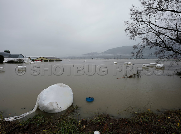 Sumas Prairie, Abbotsford still largely under water Thursday Nov 25, 2021