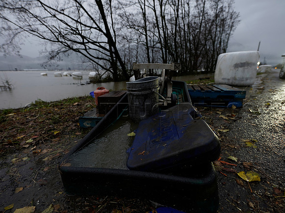Sumas Prairie, Abbotsford still largely under water Thursday Nov 25, 2021