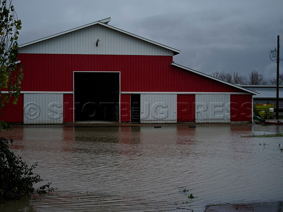 Sumas Prairie, Abbotsford still largely under water Thursday Nov 25, 2021