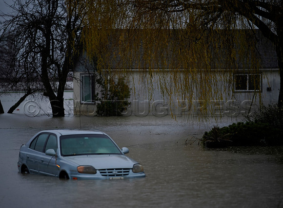 Sumas Prairie, Abbotsford still largely under water Thursday Nov 25, 2021