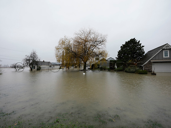 Sumas Prairie, Abbotsford still largely under water Thursday Nov 25, 2021