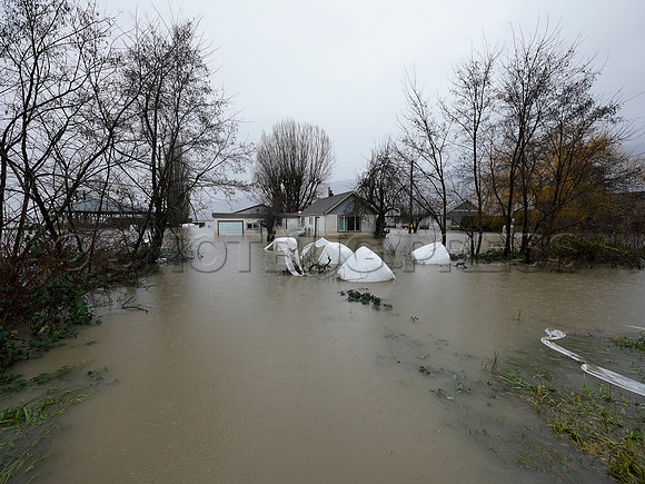 Sumas Prairie, Abbotsford still largely under water Thursday Nov 25, 2021