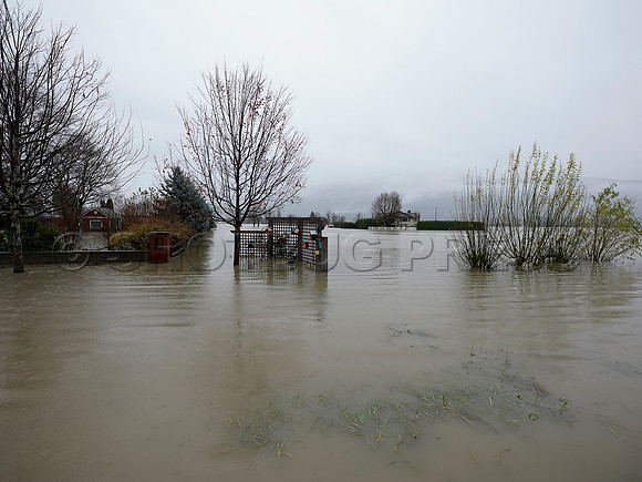 Sumas Prairie, Abbotsford still largely under water Thursday Nov 25, 2021