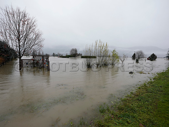 Sumas Prairie, Abbotsford still largely under water Thursday Nov 25, 2021