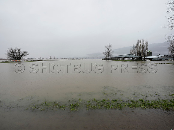 Sumas Prairie, Abbotsford still largely under water Thursday Nov 25, 2021