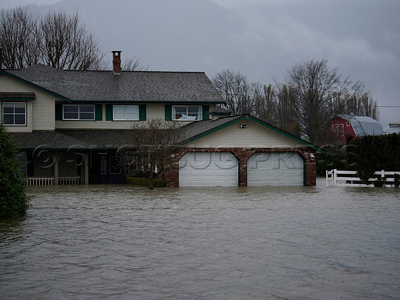 Sumas Prairie, Abbotsford still largely under water Thursday Nov 25, 2021