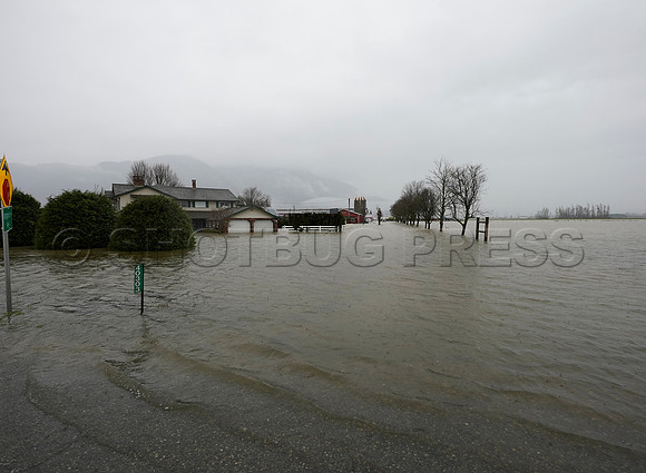 Sumas Prairie, Abbotsford still largely under water Thursday Nov 25, 2021