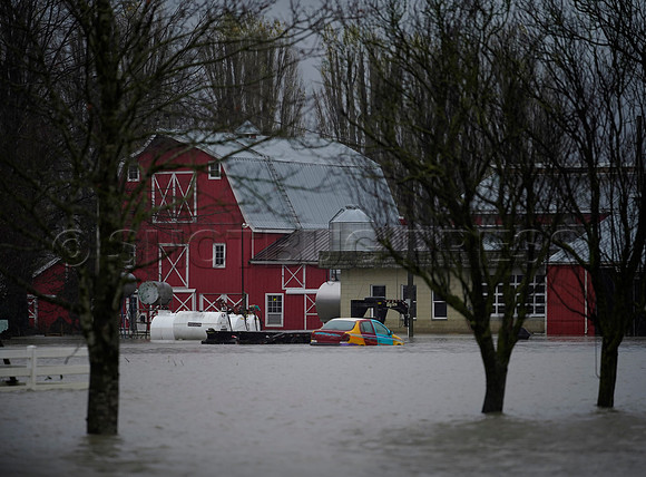 Sumas Prairie, Abbotsford still largely under water Thursday Nov 25, 2021