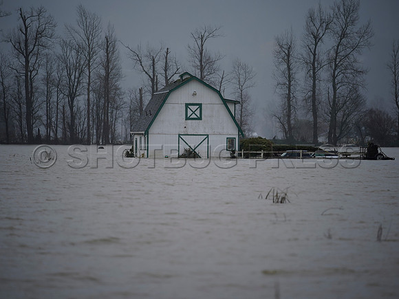 Sumas Prairie, Abbotsford still largely under water Thursday Nov 25, 2021