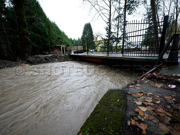 Nov 28, 2021 Clayburn Creek in Old Clayburn Village, Abbotsford rises to potentially dangerous levels.