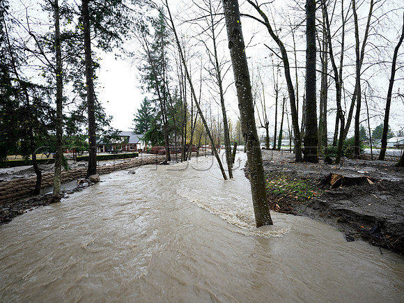 Nov 28, 2021 Clayburn Creek in Old Clayburn Village, Abbotsford rises to potentially dangerous levels.
