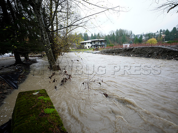 Nov 28, 2021 Clayburn Creek in Old Clayburn Village, Abbotsford rises to potentially dangerous levels.