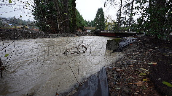 Nov 28, 2021 Clayburn Creek in Old Clayburn Village, Abbotsford rises to potentially dangerous levels.