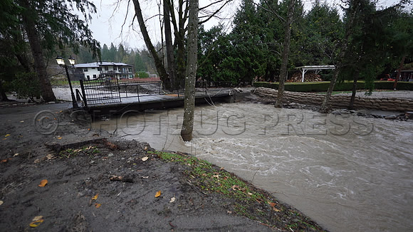 Nov 28, 2021 Clayburn Creek in Old Clayburn Village, Abbotsford rises to potentially dangerous levels.