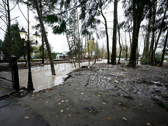 Nov 28, 2021 Clayburn Creek in Old Clayburn Village, Abbotsford rises to potentially dangerous levels.