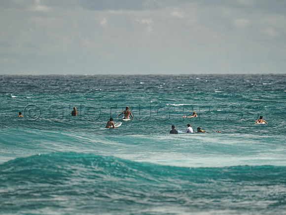 Wes Shaw Surfing 20240907 -214702