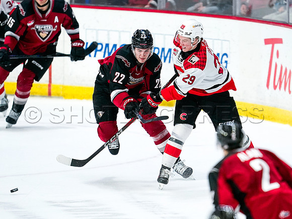 Wes Shaw Prince George Cougars at Vancouver Giants 20250217 -283986