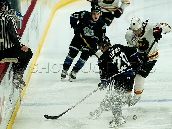 Wes Shaw Victoria Royals slam thhe Giants 6-3 20241214 -256003