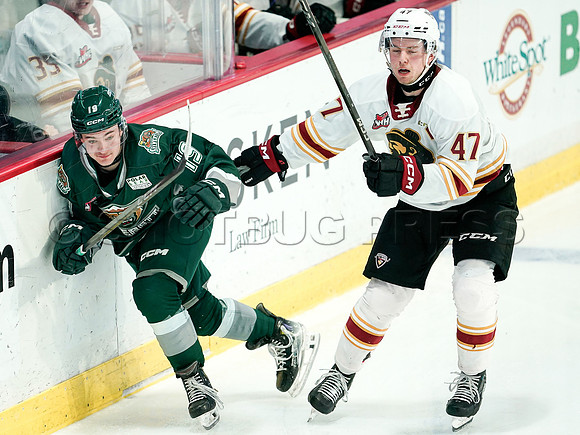 Wes Shaw Everett Silvertips skate circles around the Vancouver Giants 20241129 -254780