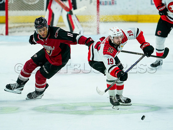 Wes Shaw Prince George Cougars at Vancouver Giants 20250217 -283859