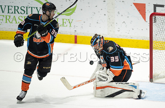 Abbotsford Canucks defeat San Diego Gulls 4-2 on Sunday, Jan 23, 2022 at Abbotsford Centre.