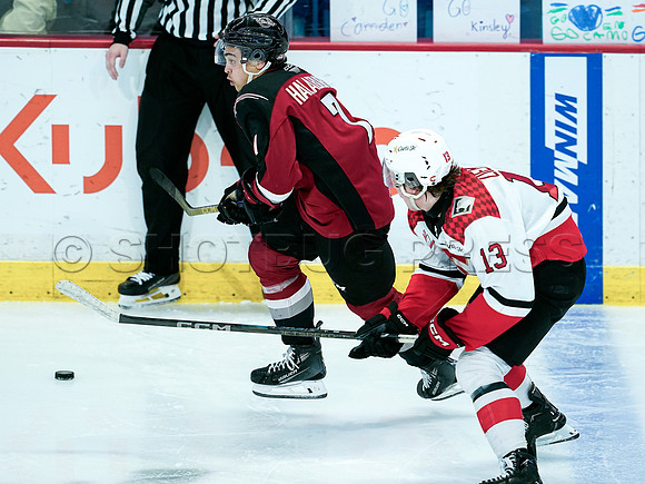 Wes Shaw Prince George Cougars at Vancouver Giants 20250217 -282848