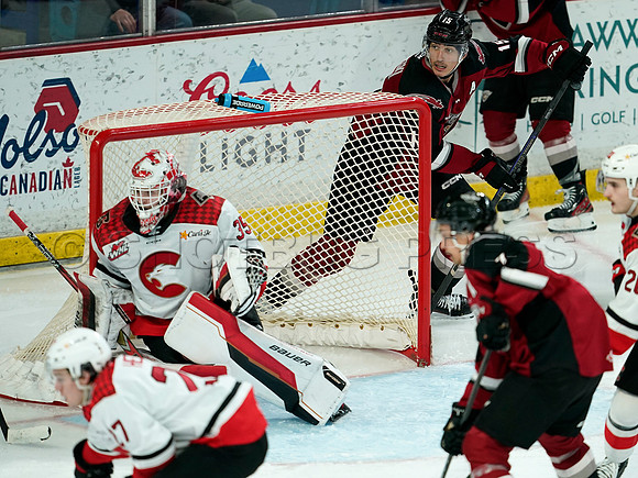 Wes Shaw Prince George Cougars at Vancouver Giants 20250217 -282978