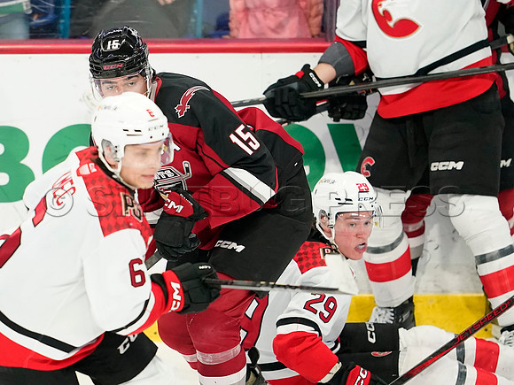 Wes Shaw Prince George Cougars at Vancouver Giants 20250217 -282439