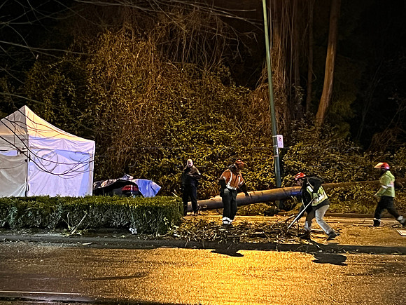 April 12, 2022 One dead after tree crashes on vehicle at Marine Way and River District Crossing in Vancouver
