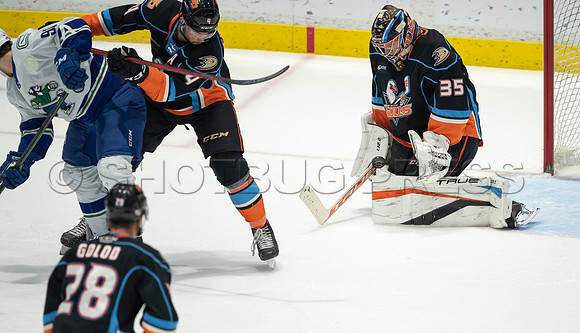 Abbotsford Canucks defeat San Diego Gulls 4-2 on Sunday, Jan 23, 2022 at Abbotsford Centre.