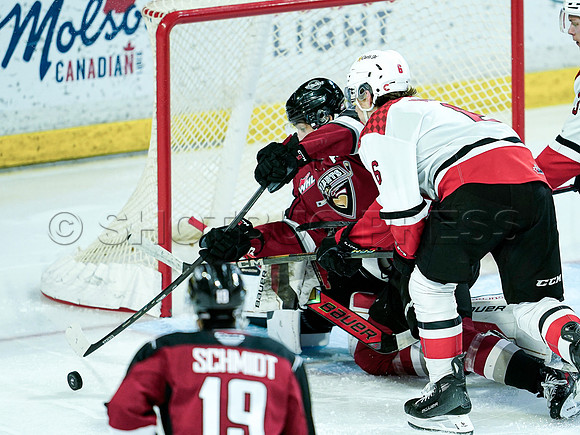 Wes Shaw Prince George Cougars at Vancouver Giants 20250217 -282889