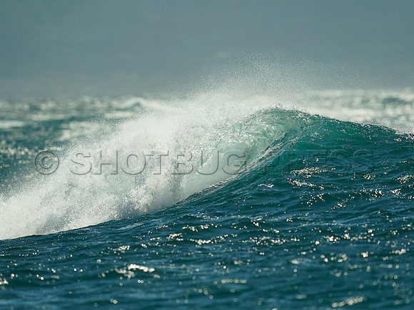 Wes Shaw Maui Surfing 20240707 -180829