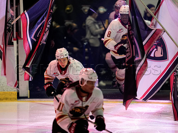 Wes Shaw Prince George Cougars fall to the Vancouver Giants 20241124 -251689