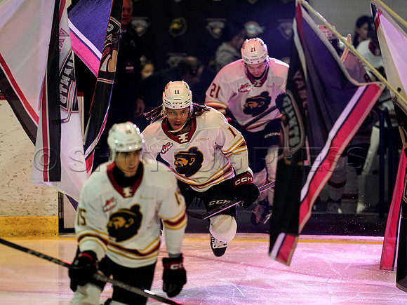 Wes Shaw Prince George Cougars fall to the Vancouver Giants 20241124 -246195