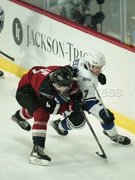 Wes Shaw Victoria Royals at Vancouver Giants  20250215 -282302