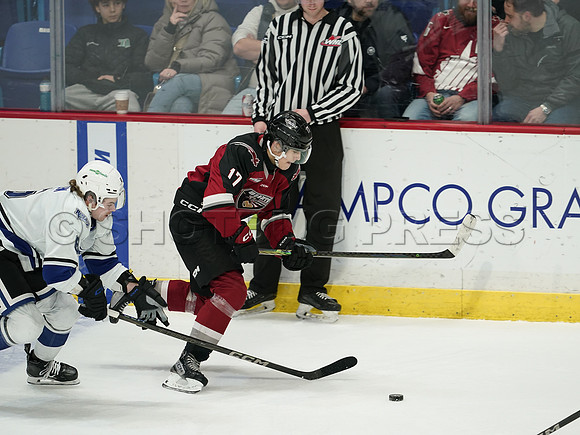Wes Shaw Victoria Royals at Vancouver Giants  20250215 -282285