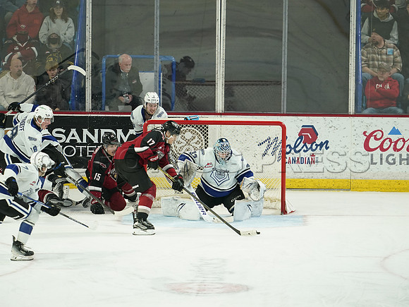 Wes Shaw Victoria Royals at Vancouver Giants  20250215 -282315