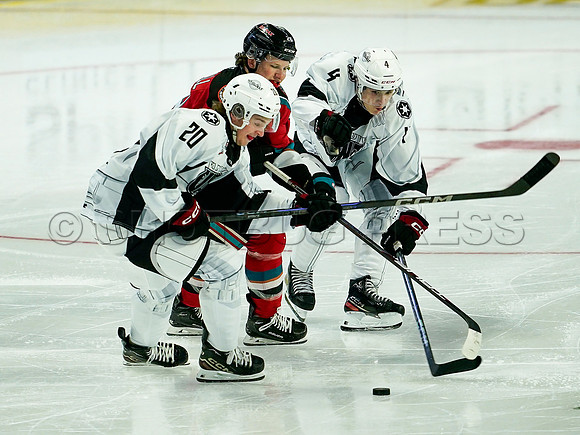 Wes Shaw Kelowna Rockets at Vancouver Giants 20241229 -259195